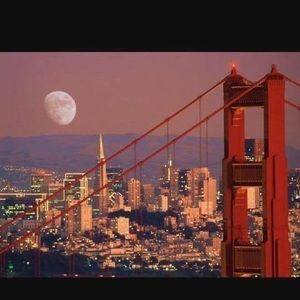 Meet your Posher, Rex